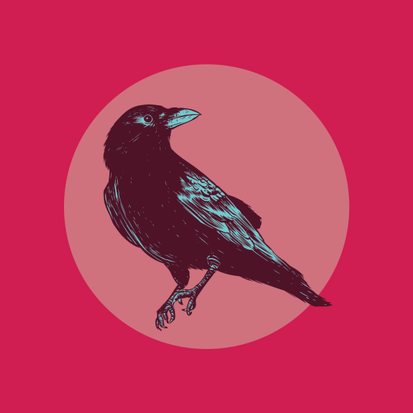 crow